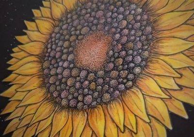 Disegno - Girasole disegnato a mano